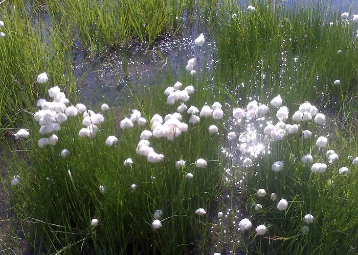 Garni Corinna فندق 3*